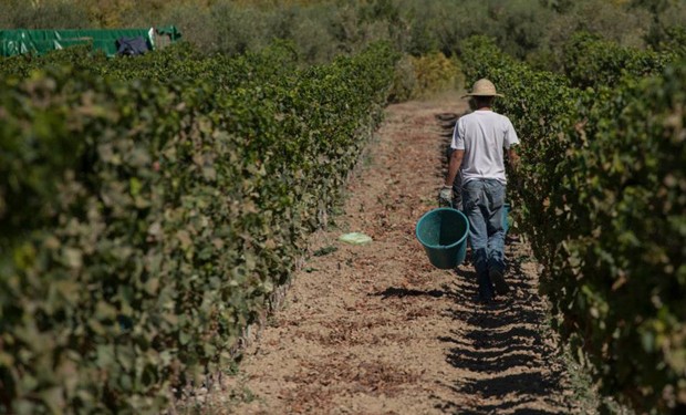 Come si uccide la speranza. In crisi la Comunità di reinserimento la Collina